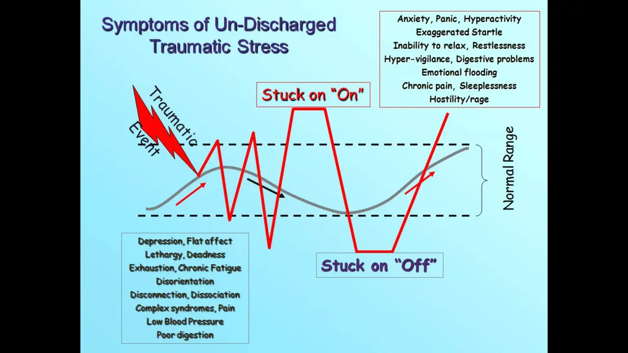 Fight, Flight, or Freeze — Releasing Organizational Trauma, slide 12 of 36