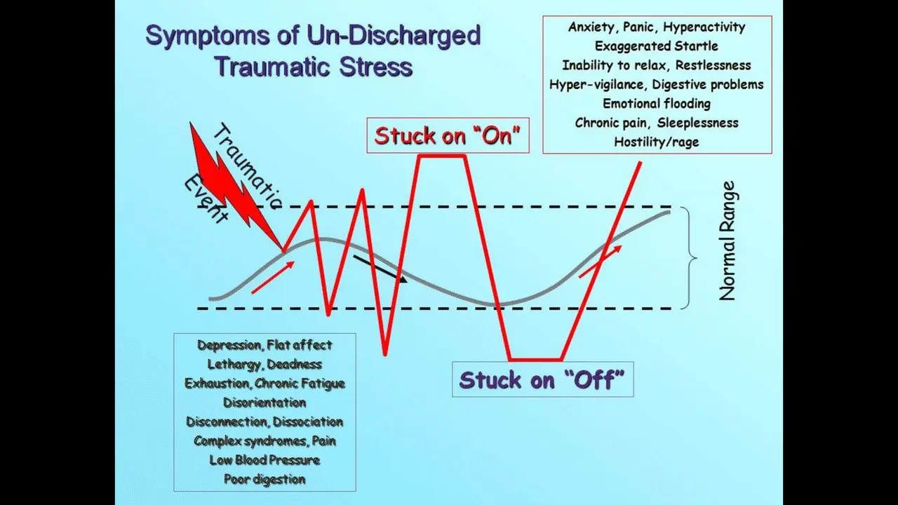 Fight, Flight, or Freeze — Releasing Organizational Trauma, slide 12 of 31