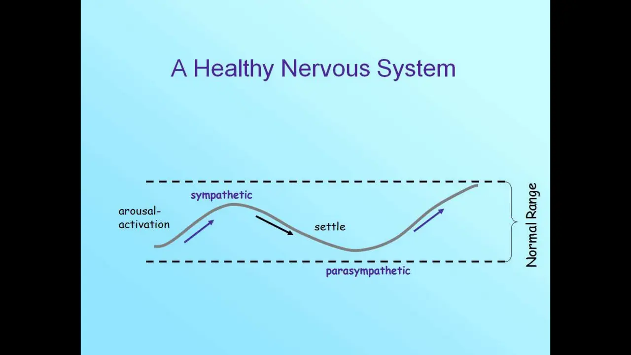 Fight, Flight, or Freeze — Releasing Organizational Trauma, slide 7 of 31