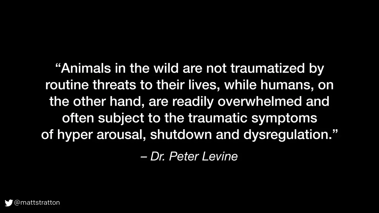 Fight, Flight, or Freeze — Releasing Organizational Trauma, slide 7 of 37