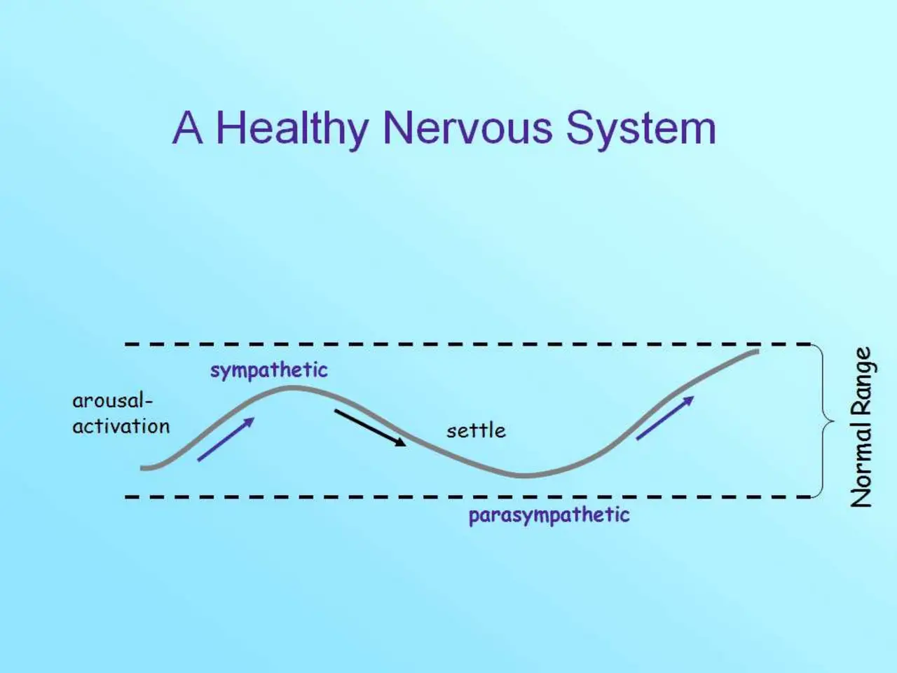 Fight, Flight, or Freeze — Releasing Organizational Trauma, slide 7 of 50