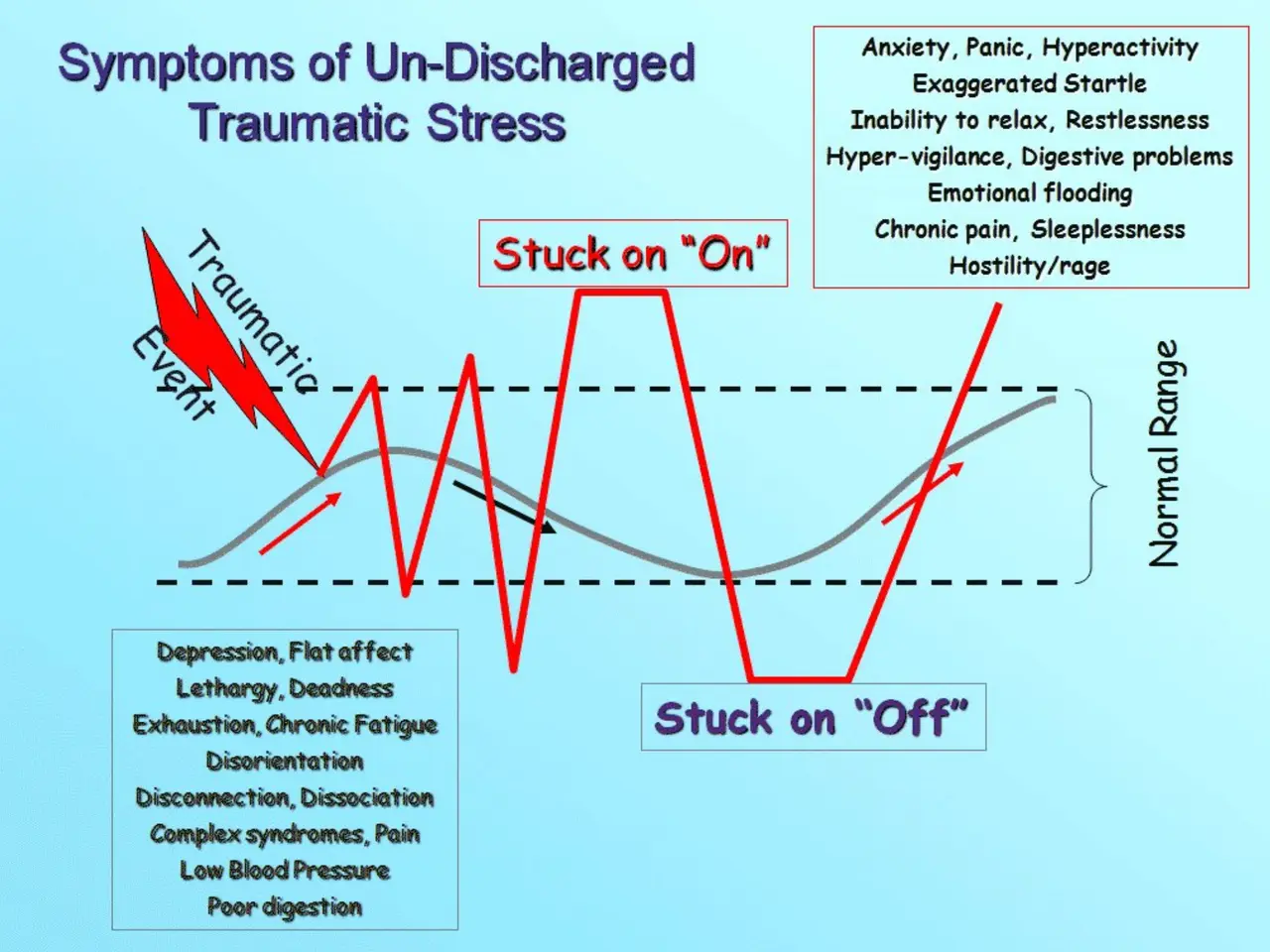 Fight, Flight, or Freeze — Releasing Organizational Trauma, slide 8 of 50