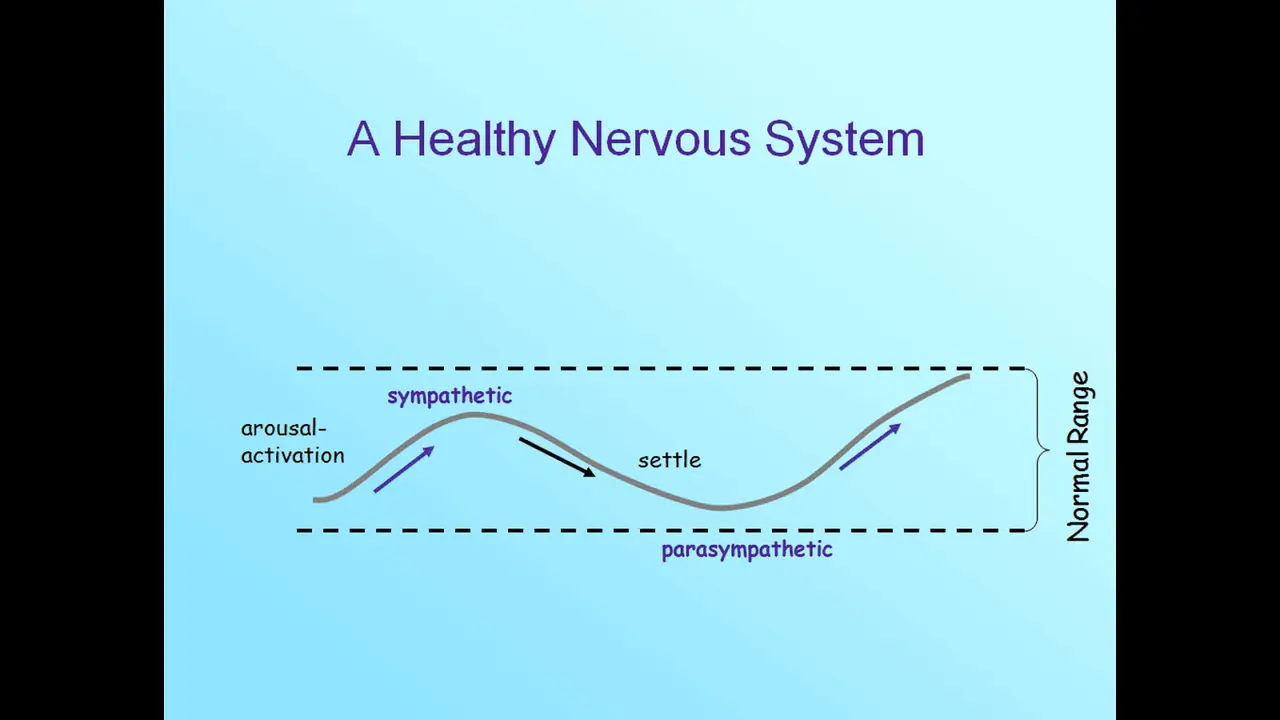 Fight, Flight, or Freeze — Releasing Organizational Trauma, slide 7 of 36